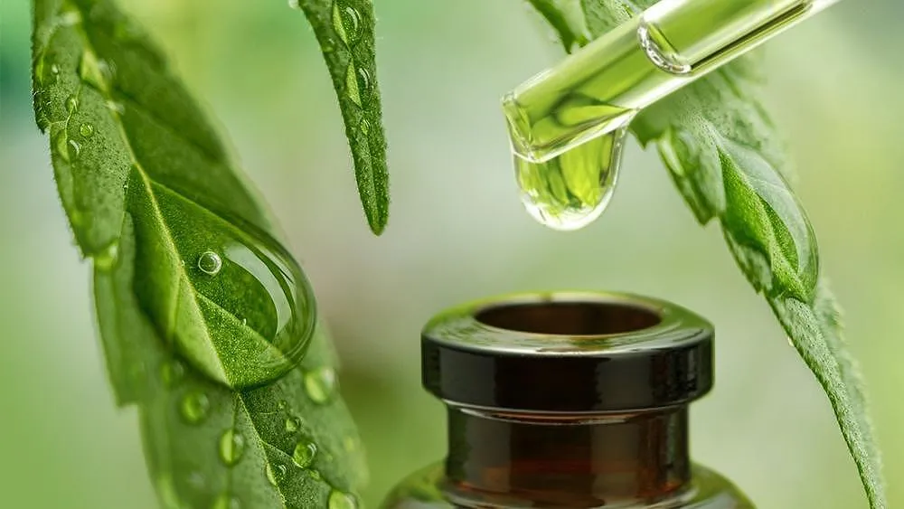Read more about the article Mi az CBD olaj és mit kell tudni róla?
