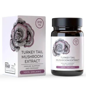 Törökcsirke farok gomba kivonat 310 mg, 30 kapszula