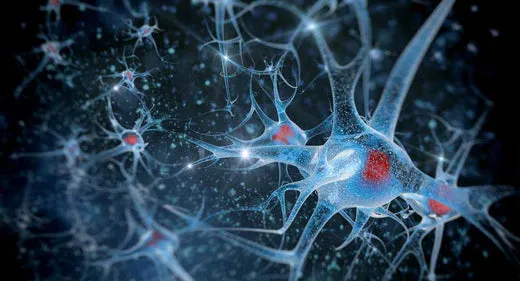 Read more about the article CBD és idegrendszeri betegségek: Potenciális előnyök és perspektívák terápiában